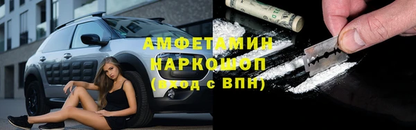 прущие грибы Елабуга