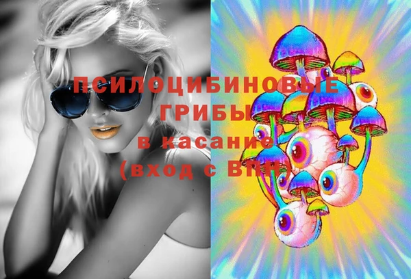 spice Алексин