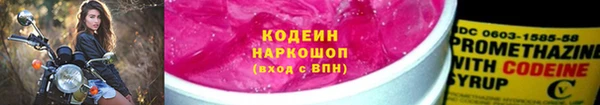 тгк Елизово