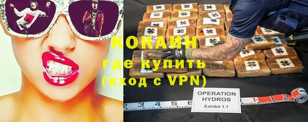 spice Алексин