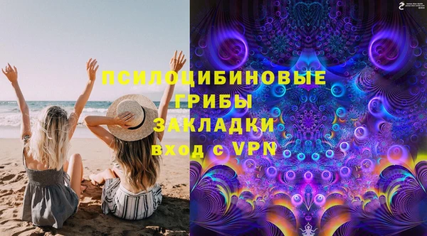 Альфа ПВП Алзамай