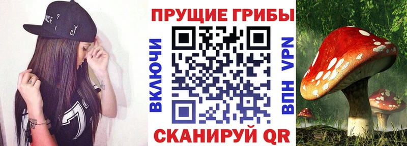 гидра сайт  Ухта  Псилоцибиновые грибы Psilocybine cubensis 